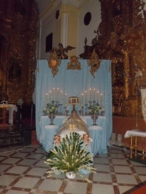 año 2011 jmj-11