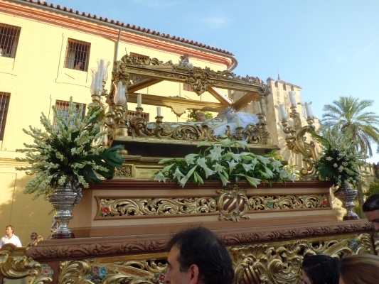 año 2011 jmj-75