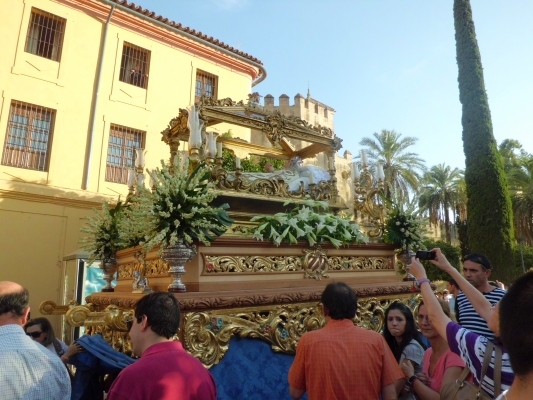 año 2011 jmj-76