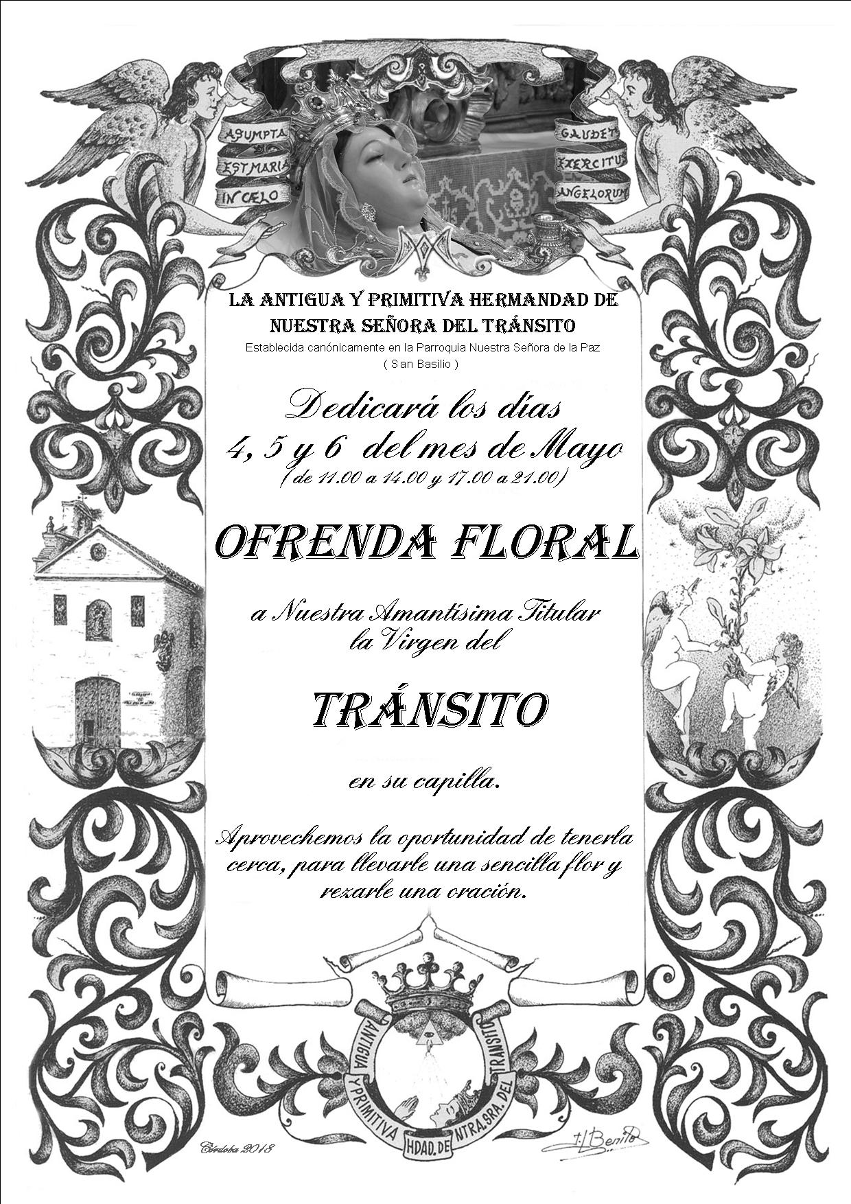Ntra. Sra. del Transito cerquita de los fieles.